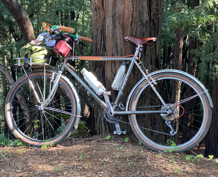 Bike leaning against a redwood on the side of Mt Tam